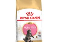 Royal Canin Maine Coon Kitten - 10 kg