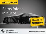 VW Golf, 1.0 Life eTSI ACTIVE, Jahr 2023 - Krefeld
