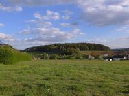 Sonniges Grundstück in Ohrenbach bei Auerbach - Auerbach (Oberpfalz)