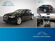 Audi A4 Sport PANO ACC SHZ MMI PDC DSP XENON+ - Roßtal