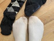 Reiterin bietet dreckige Socken und Schuhe - Augsburg