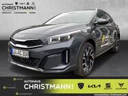 Kia XCeed, 1.5 T-GDI Vision EU6d, Jahr 2024 - Worms