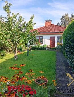 Verstecktes Wohnjuwel! Großzügiger Bungalow mit Charme und Ruhe - Bornhöved