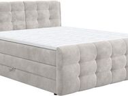 COTTA Boxspringbett Fort mit Bettkasten, inkl. Topper, erhältlich in verschiedenen Breiten (160cm, 180cm & 200cm)