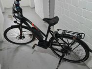 Riverside E Bike Bosch Motor - Bochum Langendreer