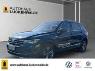 VW Tiguan, 2.0 TDI Elegance IQ, Jahr 2023 - Luckenwalde