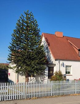 Doppelhaushälfte mit viel Platz für eine Familie - Stralsund