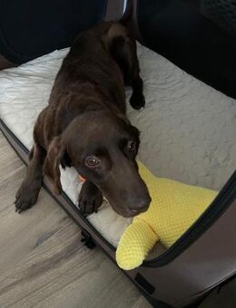 Yuna - mit einem Herz aus Gold - Overath