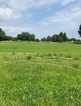 sonnige Baugrundstücke -familienfreundlich und begehrt - Tegau