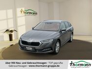 Skoda Octavia, 2.0 TDI Combi Style FLA 4xSHZ, Jahr 2023 - Gardelegen (Hansestadt)