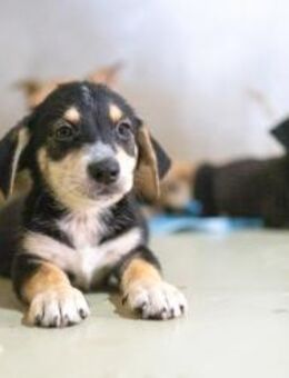 Zauberhafter ISY - Kallmünz