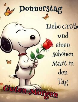 Gesucht...."ziemlich beste Freunde"...! - Baunatal Zentrum