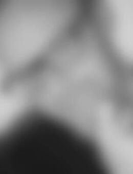 Fec*** - Erfurt