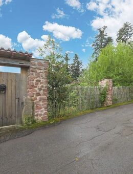 Modernes Einfamilienhaus in ruhiger, naturnaher Lage mit Panoramablick! - Bad Wildbad