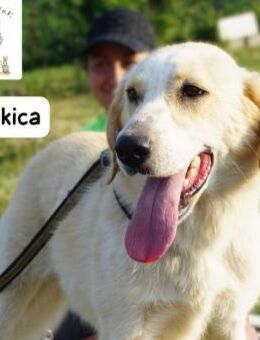 Lokica Neugierig auf die Welt ... - Kissing