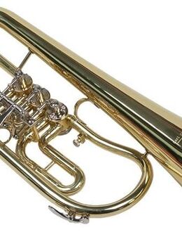 Flügelhorn Konzert von Stagg - Ellwangen (Jagst) Zentrum