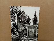 Postkarte C-261-Konnersreuth/Opf. Grab der Therese Neumann. - Nörvenich