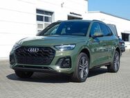 Audi Q5, 40 TDI S Line quattro, Jahr 2024 - Meißen