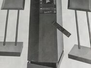 Stereoanlage Schneider Manhattan 1100 + Plattenspieler Technics - Rheinfelden (Baden)