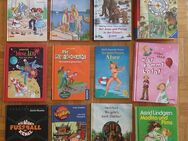 Kinderbücher: Conni, Baumhaus, Zeitdetektive, Hexe Lilli, Kommissar Kugelblitz, Alice, Ponydetektive, Lola, Madita und Pims, Wilde Kerle, Wo gehts nach Dublin - Krefeld