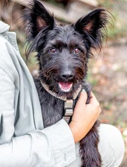 Zorro, sportlicher Clown, ca. 3 Jahre - Vaterstetten