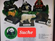 Suche alte Schleich WWF Nashorn Eisbär Grizzly Pferd Panda Orang Utan Figuren auf Holzsockel von 1982 - 86 - Erbach (Hessen)