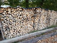 Brennholz Holz Buche Esche - Donzdorf