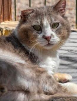 HandicapBoy Felizote sucht normales Live - Bad Camberg