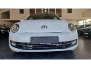 VW Beetle Lim. Design BMT/Super Optik/Bi Xenon/Temp - Neuwied