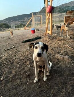 Aron - noch etwas zurückhaltend - Haan