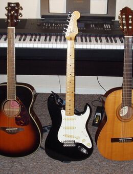 Lust auf Gitarrenunterricht ? Probestunde kostenlos, Westerweyhe - Uelzen