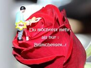 Du suchst mehr als Blümchensex…Köln + 50 km - Köln