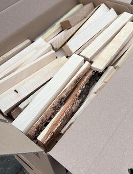 Anfeuerholz Brennholz trocken, im Karton 14kg, 22cm, Buche,Eiche,Esch,Birke - Lahnstein