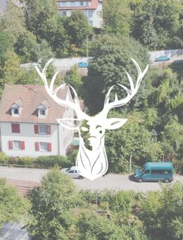 Charmantes 3-Familienhaus mit attraktiver Baulandreserve in Top Lage von Waldshut - Waldshut-Tiengen