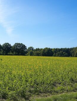 Neubau eines anspruchsvollen 2-Familienhauses in Toplage von Tangstedt/Krs. Stormarn SH - Tangstedt (Landkreis Stormarn)