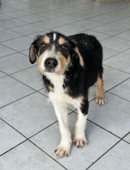 Verspielter Chip - Hückelhoven