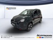 Fiat Panda, Base, Jahr 2024 - Gummersbach