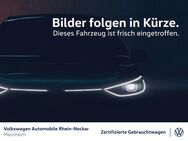 VW Tiguan, 2.0 TDI Life, Jahr 2023 - Mannheim