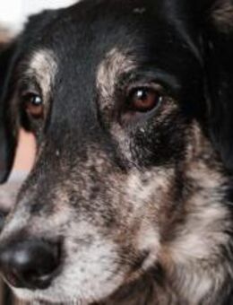 Casper wartet auf dich! - München