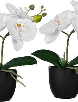 Kunstorchidee Orchidee Phalaenopsis, Creativ green, Höhe 23 cm, mit naturgetreuen Blüten