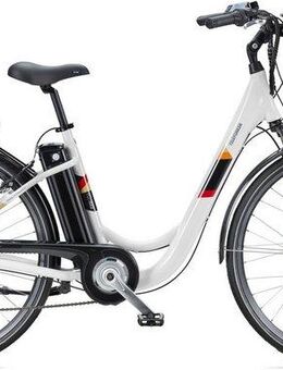 Telefunken E-Bike Cityrad Multitalent RC822, 7 Gang Shimano Tourney Schaltwerk, Kettenschaltung, Frontmotor, 531,3 Wh, (2 V-Bremsen, Beleuchtung, Straßenzulassung, ca. 100 km Reichweite), Elektrofahrrad, Damen Herren, 28 Zoll, 36,9 V, 531,3 Wh Akku,...