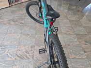 E Bike und Anhänger - Viernheim