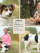 Casella – kleine Frohnatur sucht ihr Glück in 58239