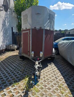 Pferdeanhänger Trocken aber ohne TÜV - Rheine