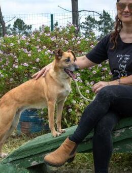 Sunny durfte nicht mit umziehen - Brunstorf