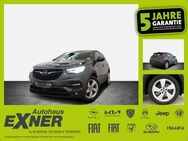 Opel Grandland X 1.6 Turbo Hybrid 4 BUSINESS EDITION - Hof