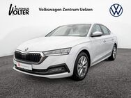 Skoda Octavia, 2.0 TDI First Edition, Jahr 2021 - Uelzen