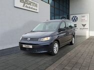 VW Caddy, 2.0 TDI Maxi, Jahr 2024 - Schopfloch (Baden-Württemberg)