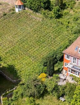 Rarität - Villa in der Villenkolonie Altfriedstein zum Kauf (unterhalb des Mätressenschlösschens) - Radebeul