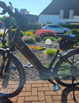 Victoria eTrekking 11.4 H (2019) Rohloff Nabe - Oberhausen